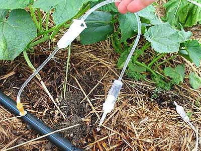 Спасаем огород от жажды: как сделать капельный полив для дачи из бутылок, капельниц, ПВХ труб