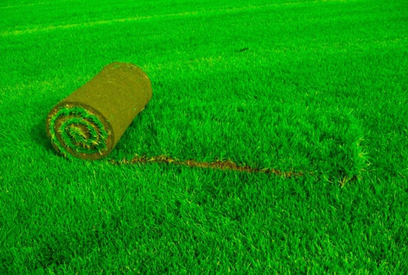 Ландшафтный дизайн: Укладка рулонного газона своими руками