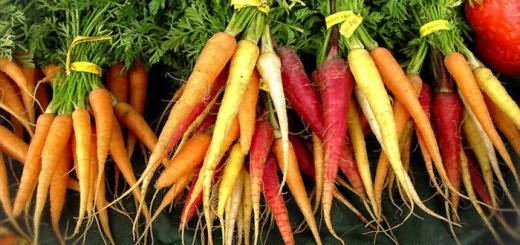 На фото разные виды моркови