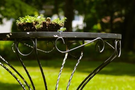 Садовая мебель из металла для зимнего сада и дачи - фото