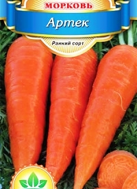 Морковь сорт Артек