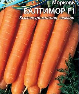 Морковь Балтимор