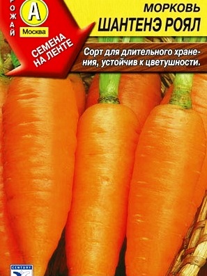 Морковь Шантенэ