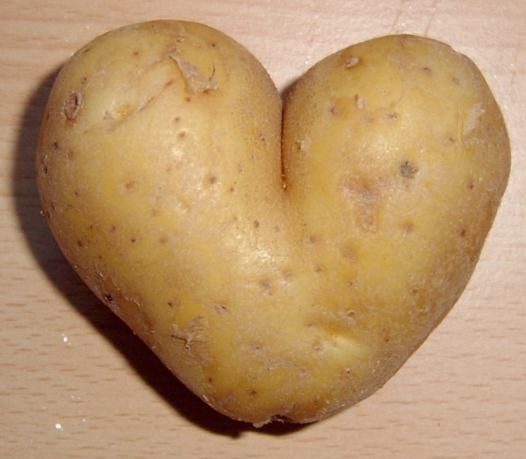 Что любить картофель