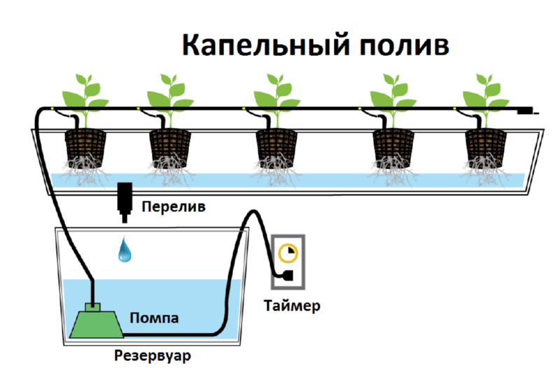Гидропоника - это выращивание культур без применения грунта