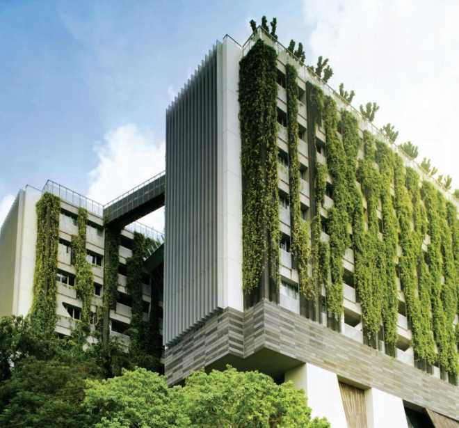 Зеленая стена на здании в городе