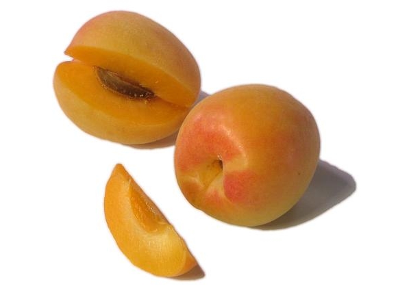Априум - гибрид на 75% состоит из абрикоса и на 25% из сливы