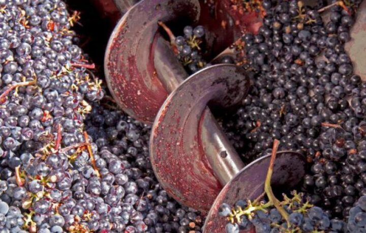 Процесс дробления винограда