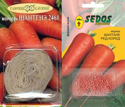 Семена моркови на ленте и дражже