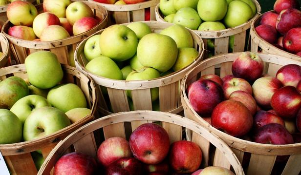 Разнообразие сортов яблок