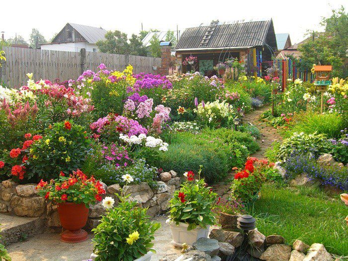Цветы в саду и на даче