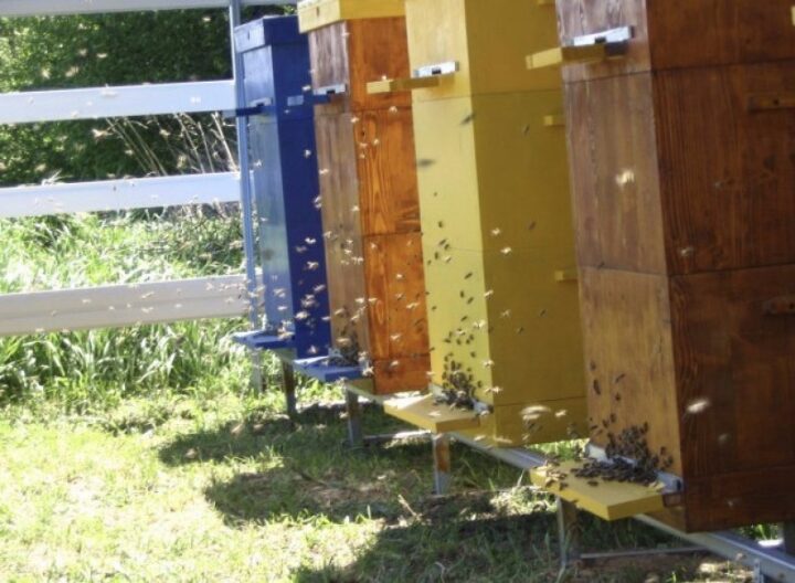 Содержание пчел в многокорпусных ульях