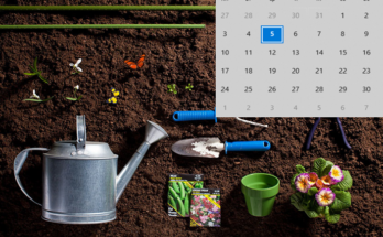 календарь огородника